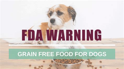  In fact, many veterinarians and even the FDA are now realizing that grain free dog food is actually causing more harm than good